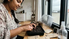 Mitte März aussäen: diese 5 Sommerblumen kannst du jetzt noch vorziehen